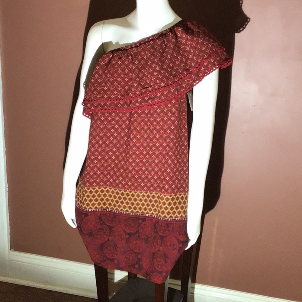 Maroon and Red patterned Xhilaration Dress